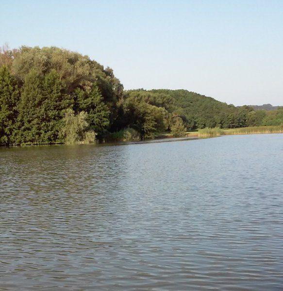 Fenntarthatóság szubjektíven - Zalakaros Villa Natura